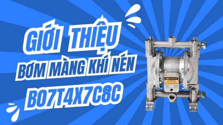 bơm màng khí nén B07T