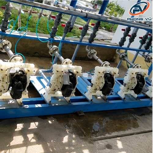 ảnh thực phẩm, dược phẩm