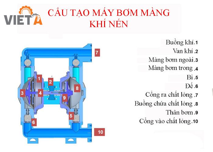 Cấu tạo bơm màng khí nén