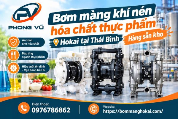 Bơm màng khí nén hóa chất thực phẩm Hokai tại Thái Bình