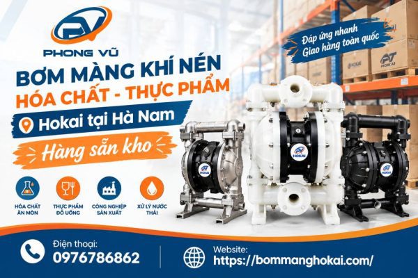 Bơm màng khí nén hóa chất thực phẩm Hokai tại Hà Nam