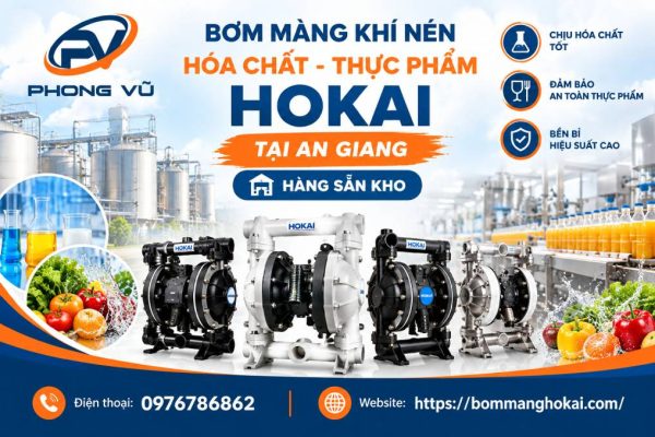 Bơm màng khí nén hóa chất thực phẩm Hokai tại An Giang