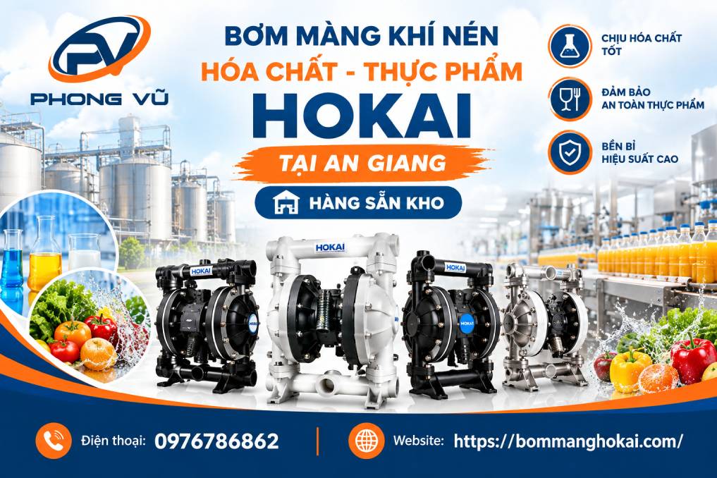 Bơm màng khí nén hóa chất thực phẩm Hokai tại An Giang