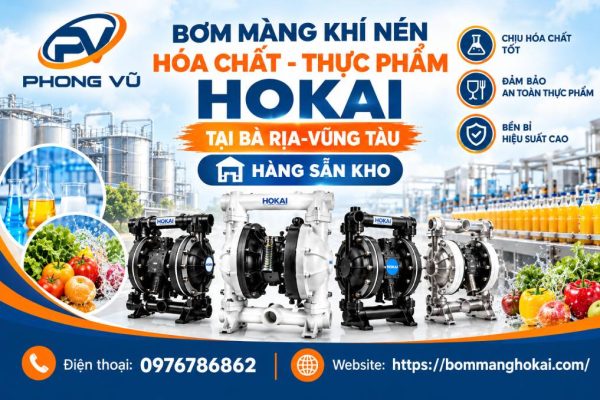 Bơm màng khí nén hóa chất thực phẩm Hokai tại Bà Rịa-Vũng Tàu