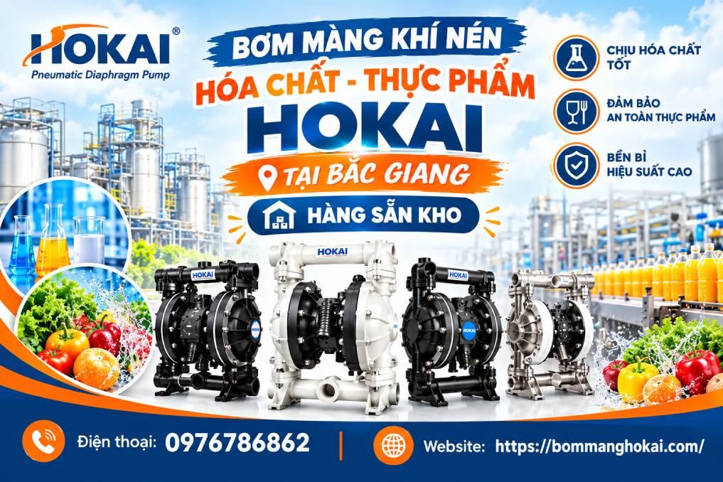 Bơm màng khí nén hóa chất thực phẩm Hokai tại Bắc Giang
