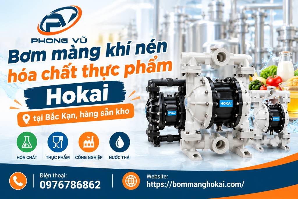 Bơm màng khí nén hóa chất thực phẩm Hokai tại Bắc Kạn