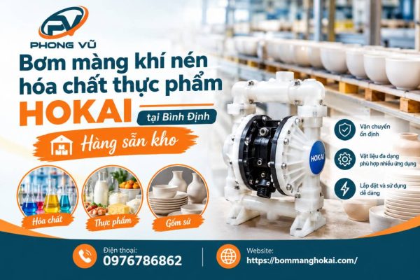 Bơm màng khí nén hóa chất thực phẩm Hokai tại Bình Định