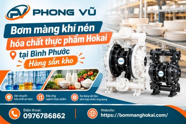 Bơm màng khí nén hóa chất thực phẩm Hokai tại Bình Phước