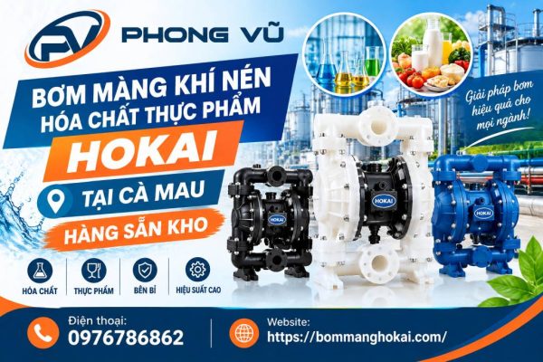 Bơm màng khí nén hóa chất thực phẩm Hokai tại Cà Mau