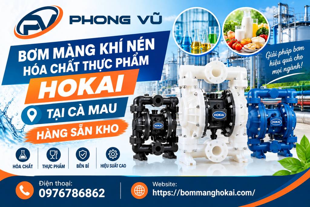 Bơm màng khí nén hóa chất thực phẩm Hokai tại Cà Mau