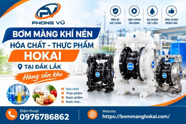 Bơm màng khí nén hóa chất thực phẩm Hokai tại Đắk Lắk