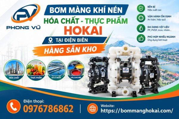 Bơm màng khí nén hóa chất thực phẩm Hokai tại Điện Biên