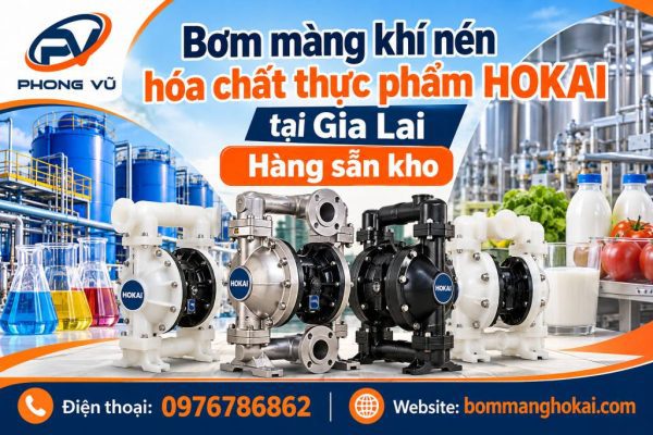 Bơm màng khí nén hóa chất thực phẩm Hokai tại Gia Lai