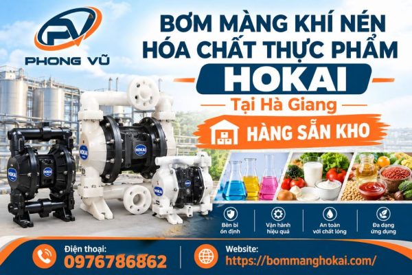 Bơm màng khí nén hóa chất thực phẩm Hokai tại Hà Giang
