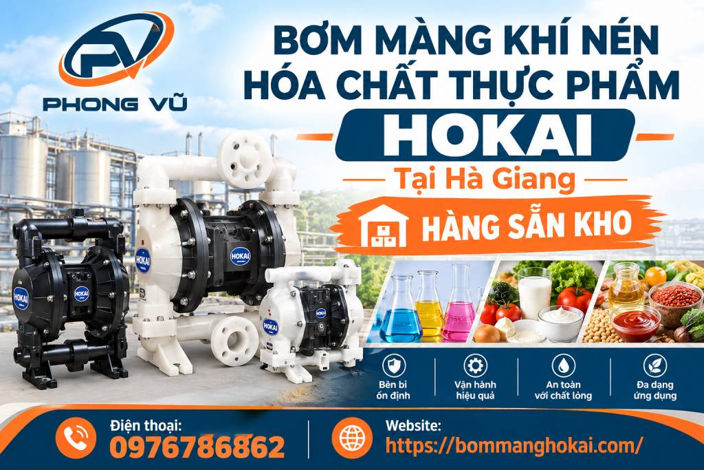 Bơm màng khí nén hóa chất thực phẩm Hokai tại Hà Giang