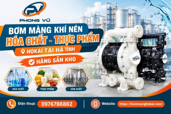 Bơm màng khí nén hóa chất thực phẩm Hokai tại Hà Tĩnh