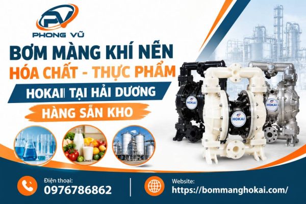 Bơm màng khí nén hóa chất thực phẩm Hokai tại Hải Dương