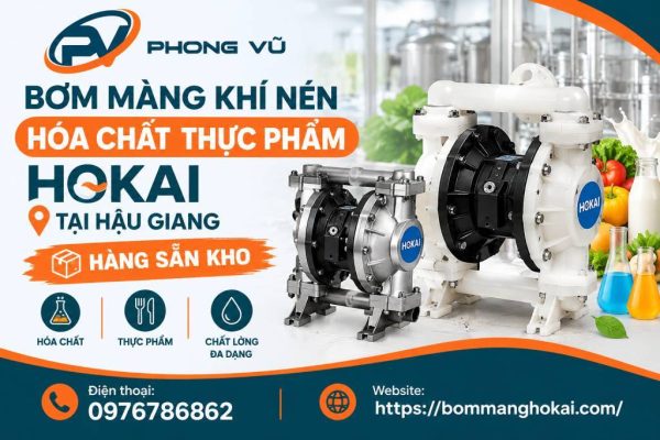 Bơm màng khí nén hóa chất thực phẩm Hokai tại Hậu Giang