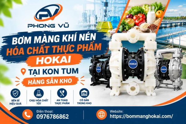Bơm màng khí nén hóa chất thực phẩm Hokai tại Kon Tum