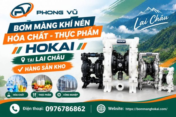 Bơm màng khí nén hóa chất thực phẩm Hokai tại Lai Châu