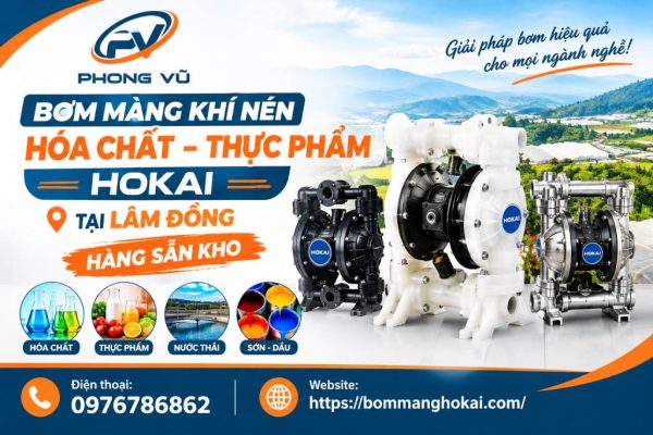 Bơm màng khí nén hóa chất thực phẩm Hokai tại Lâm Đồng