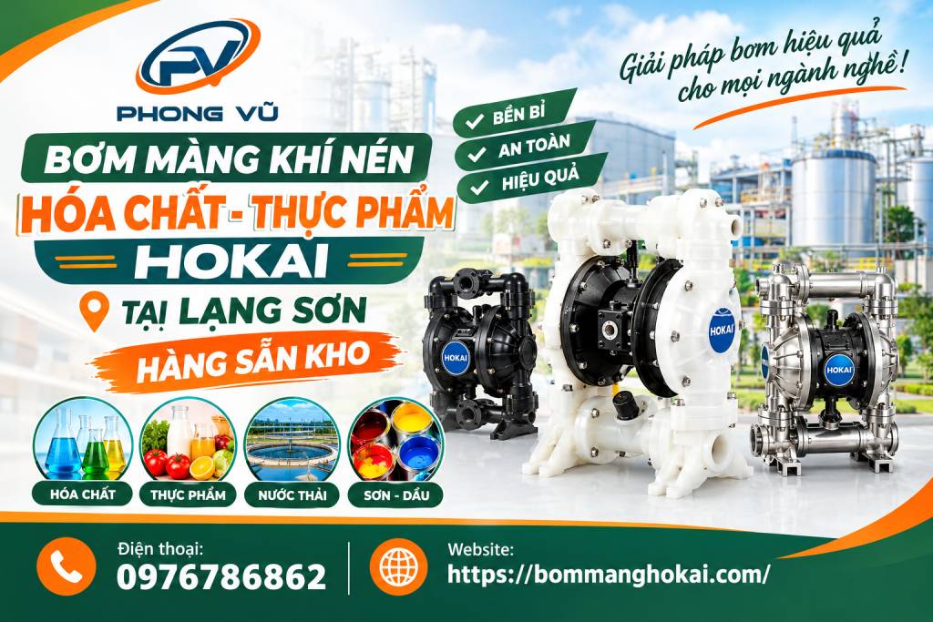 Bơm màng khí nén hóa chất thực phẩm Hokai tại Lạng Sơn