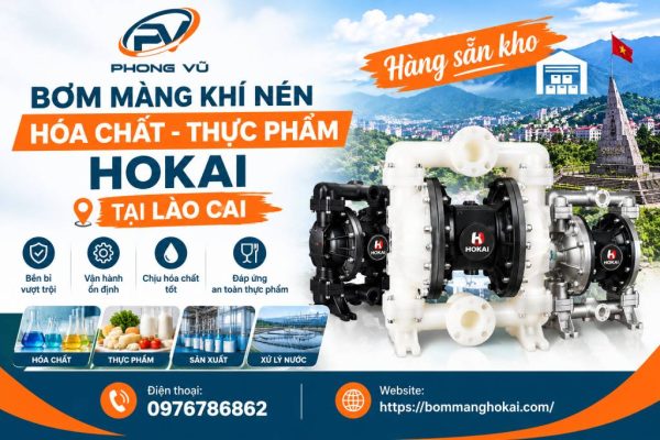 Bơm màng khí nén hóa chất thực phẩm Hokai tại Lào Cai