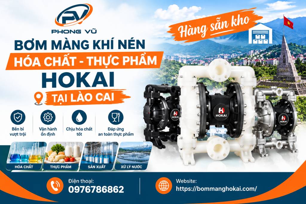 Bơm màng khí nén hóa chất thực phẩm Hokai tại Lào Cai