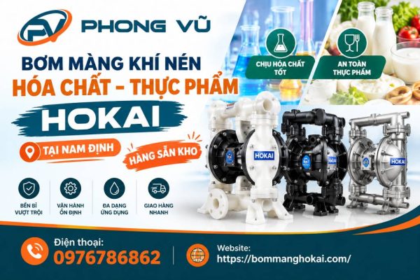 Bơm màng khí nén hóa chất thực phẩm Hokai tại Nam Định