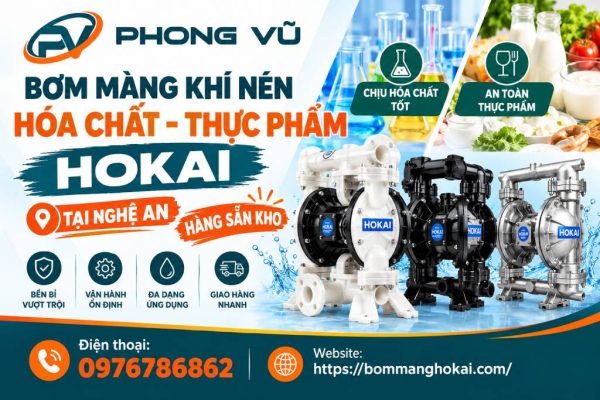 Bơm màng khí nén hóa chất thực phẩm Hokai tại Nghệ An