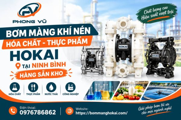 Bơm màng khí nén hóa chất thực phẩm Hokai tại Ninh Bình