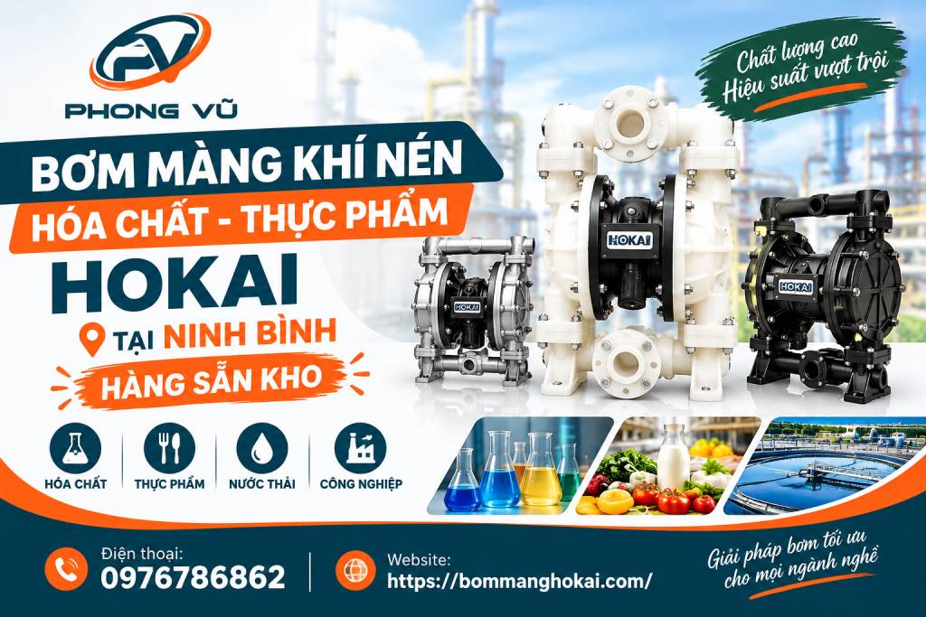 Bơm màng khí nén hóa chất thực phẩm Hokai tại Ninh Bình