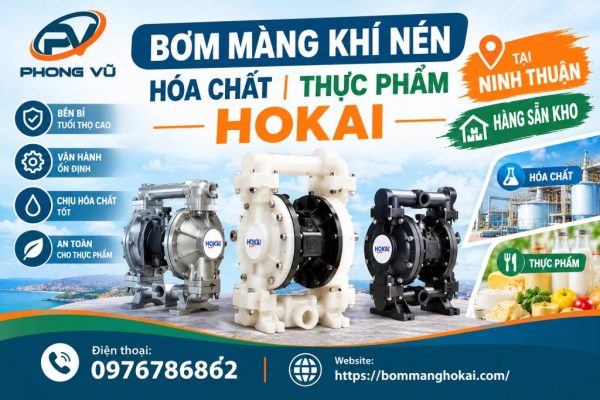 Bơm màng khí nén hóa chất thực phẩm Hokai tại Ninh Thuận