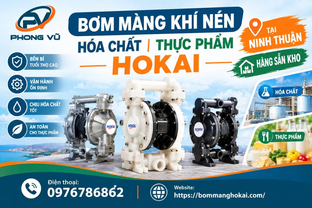 Bơm màng khí nén hóa chất thực phẩm Hokai tại Ninh Thuận