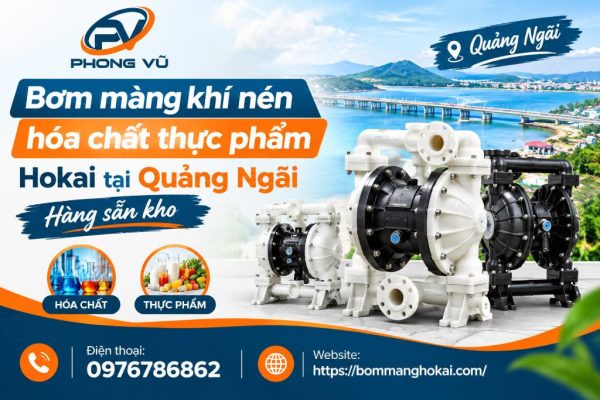 Bơm màng khí nén hóa chất thực phẩm Hokai tại Quảng Ngãi