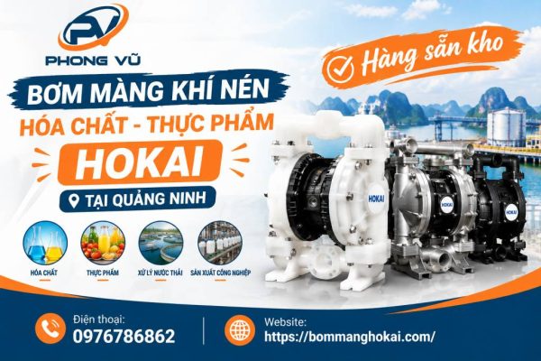 Bơm màng khí nén hóa chất thực phẩm Hokai tại Quảng Ninh