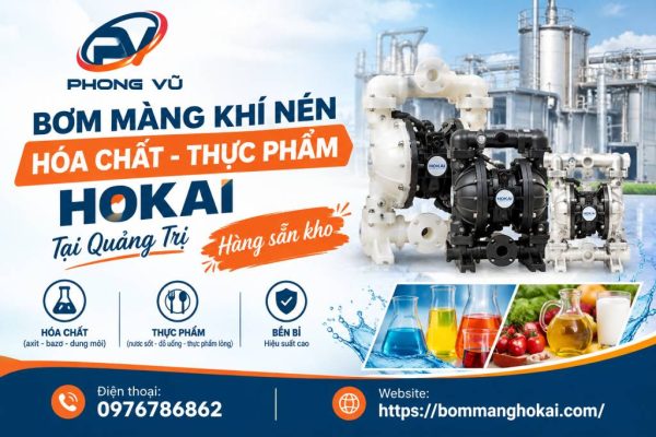 Bơm màng khí nén hóa chất thực phẩm Hokai tại Quảng Trị