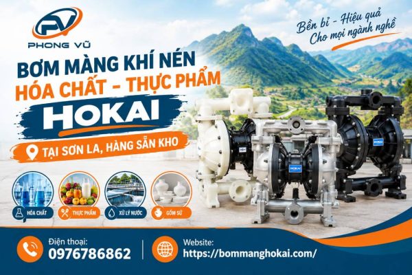Bơm màng khí nén hóa chất thực phẩm Hokai tại Sơn La