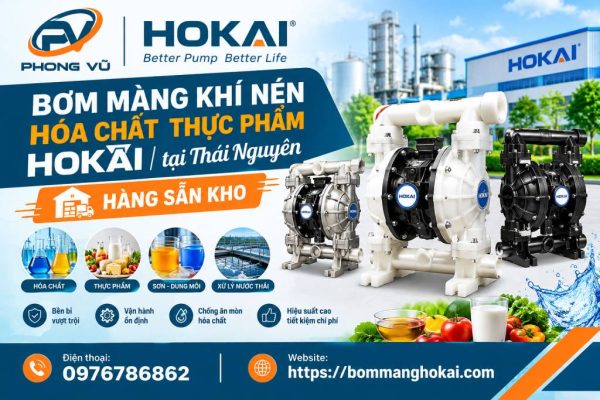 Bơm màng khí nén hóa chất thực phẩm Hokai tại Thái Nguyên