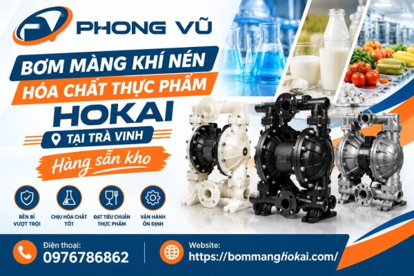 Bơm màng khí nén hóa chất thực phẩm Hokai tại Trà Vinh