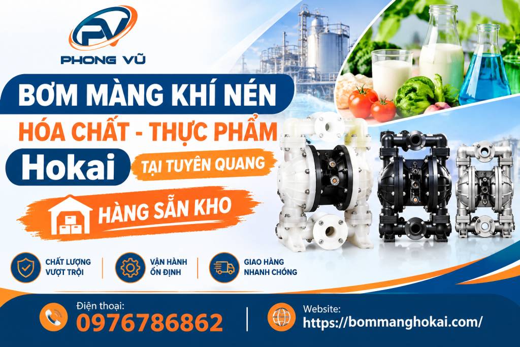 Bơm màng khí nén hóa chất thực phẩm Hokai tại Tuyên Quang
