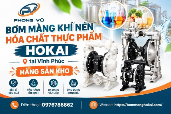 Bơm màng khí nén hóa chất thực phẩm Hokai tại Vĩnh Phúc