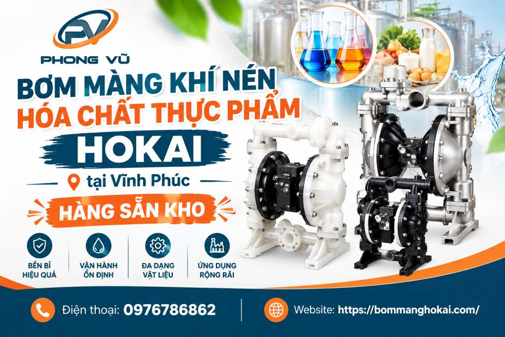Bơm màng khí nén hóa chất thực phẩm Hokai tại Vĩnh Phúc