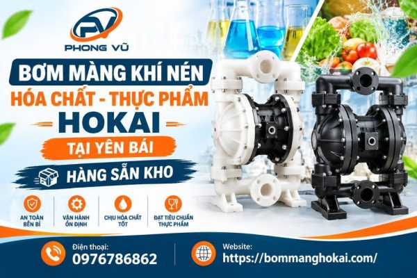 Bơm màng khí nén hóa chất thực phẩm Hokai tại Yên Bái