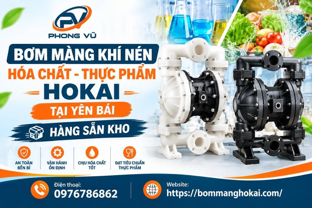 Bơm màng khí nén hóa chất thực phẩm Hokai tại Yên Bái